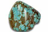 Polished Turquoise Specimen - Number Mine, Carlin, NV #260498-1